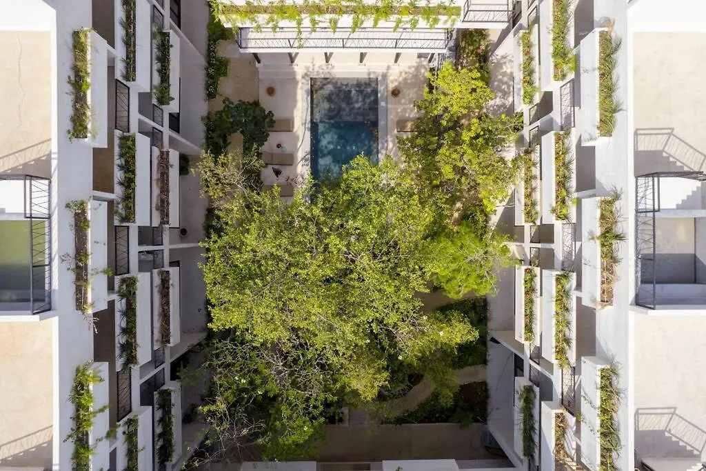 Apartment Amazing And Central New Condo 2 Bedroom La Veleta Tulum Mexico